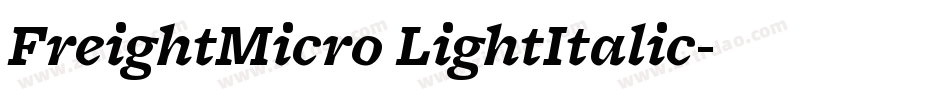 FreightMicro LightItalic字体转换